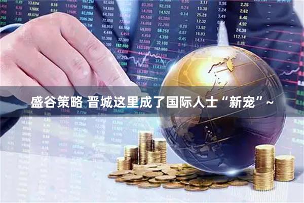盛谷策略 晋城这里成了国际人士“新宠”~